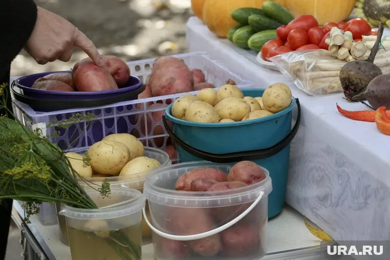 Неделю назад килограмм картофеля в среднем стоил 82,68 рубля