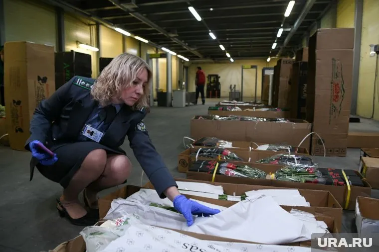 Сумма таможенных платежей за 900 тонн цветочной продукции составила 120 миллионов рублей (архивное фото)