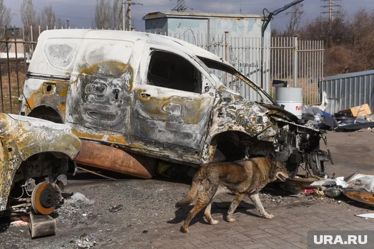 Террористы не понимают нормального разговора, уверен эксперт Никулин