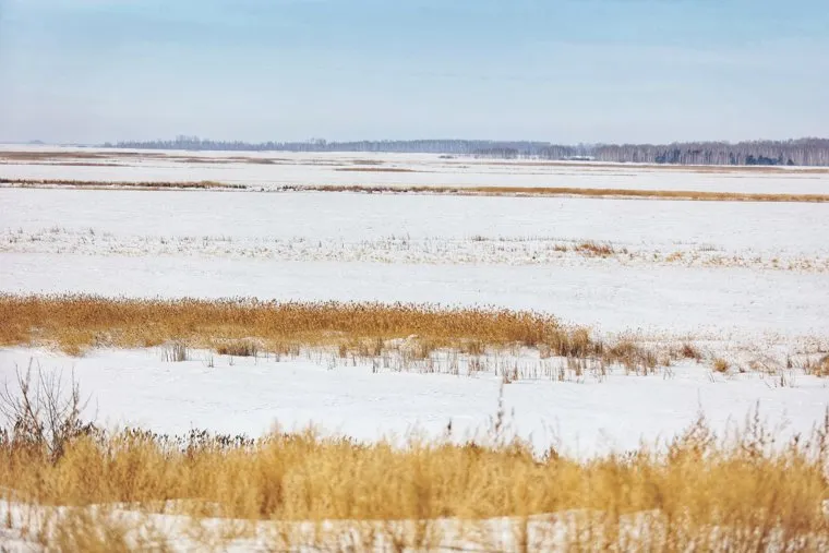 Золотая дорога. Деревня Дианово и Новодостовалово. Курган
