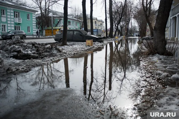 В центральной части России потеплеет до нуля уже на следующей неделе