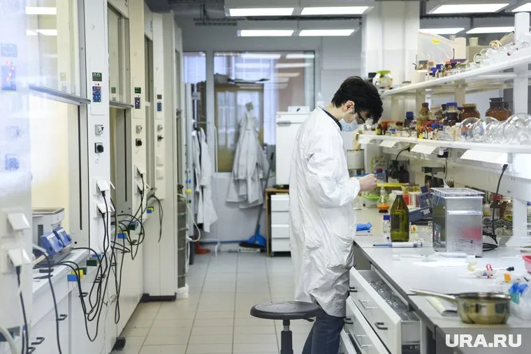 Ученые УрФУ разработают продукты, которые будут выполнять в организме функцию защиты или лечения