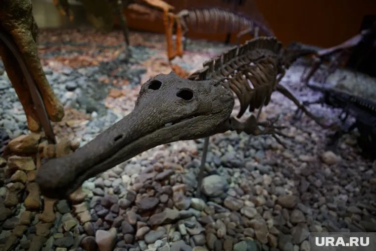 Все самое интересное из музеев в один вечер