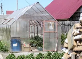 Посевной календарь на ноябрь 2024: что нужно успеть сделать