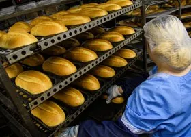 Фотография из галереи