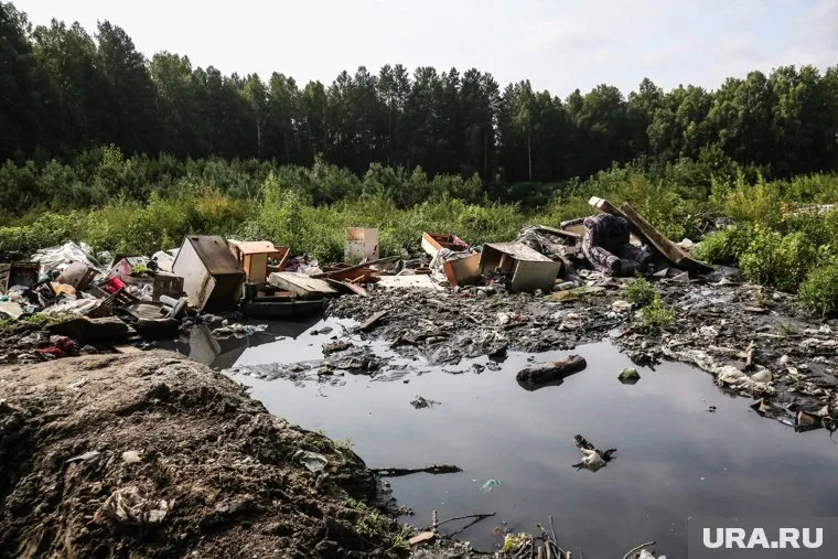 Свалку в «Лагуне» устроили местные жители