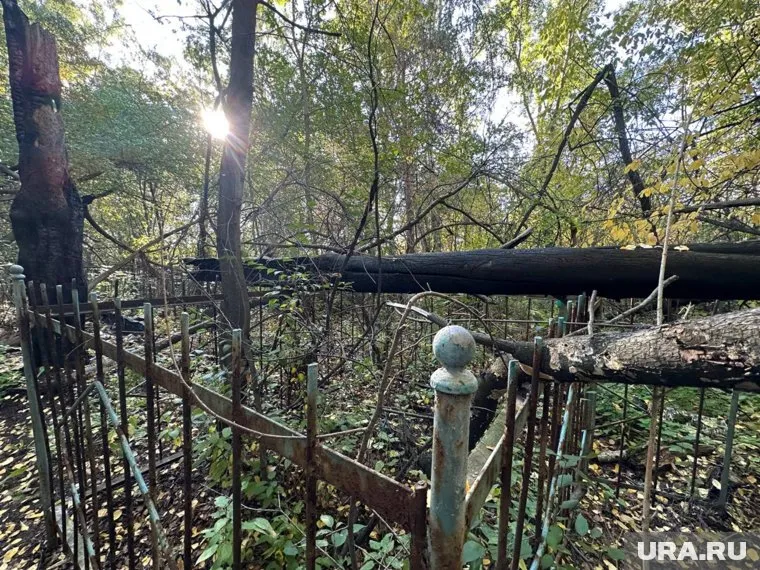 Территория кладбища из-за своей запущенности давно стала прибежищем диких животных, наркоманов и других маргинальных личностей