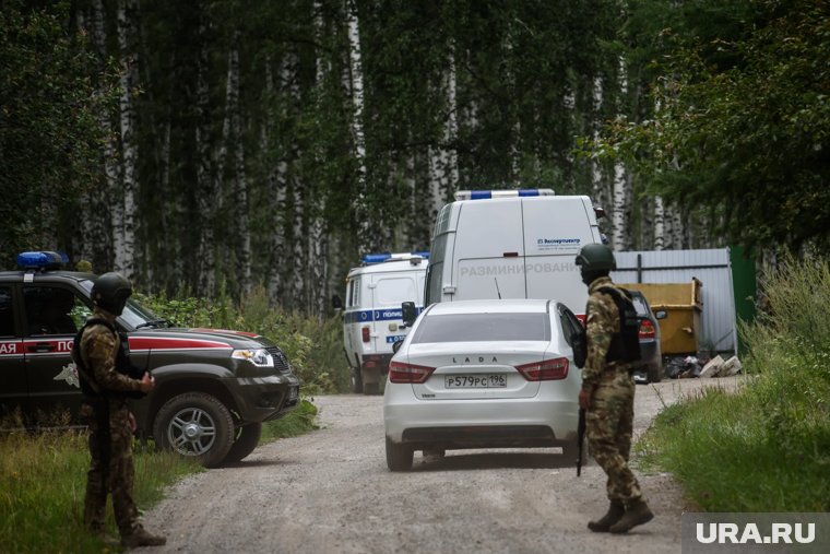 Полиция нашла голову женщины, чей труп обнаружили в лесу Екатеринбурга