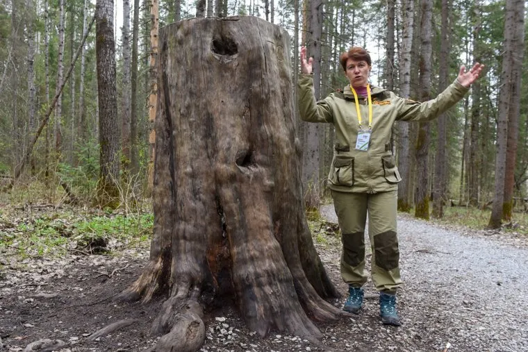 Поездка в Оленьи ручьи 