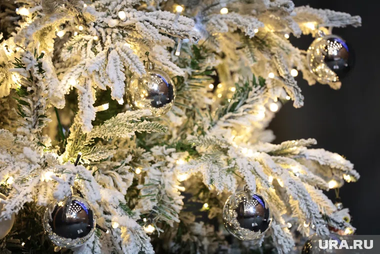 Ель стояла около ресторана и радовала гостей и прохожих (архивное фото) 