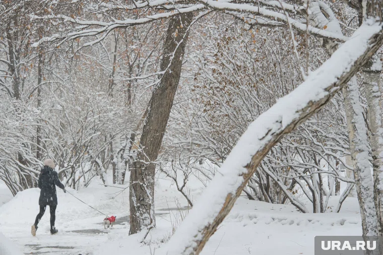 В Петербурге действуют новые правила выгула собак в общественном месте