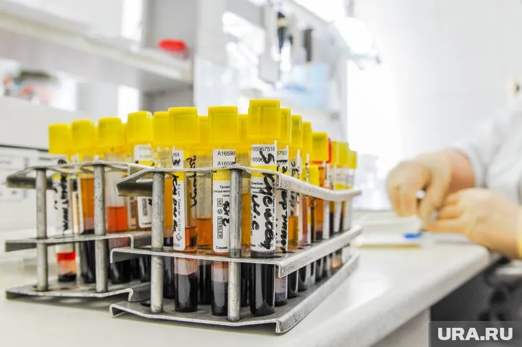 Ученые выдвинули несколько версий распространения COVID-19