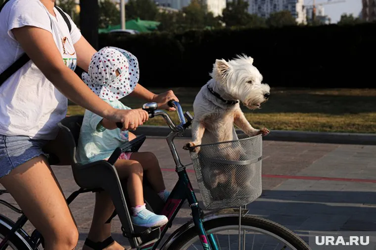 В субботу жара достигнет +34 градусов