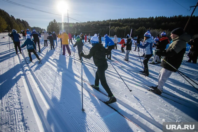 Лыжня будет проходить на территории Комарово парка
