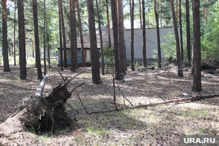 Детский лагерь «Лесная сказка» пытались продать уже не в первый раз