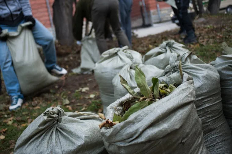 Благоустройство газона на улице Гоголя, 15. Екатеринбург, уборка, субботник, благоустройство, мешки, листья