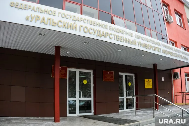 Начальника отдела УралГУФК приговорили к трем годам условного лишения свободы