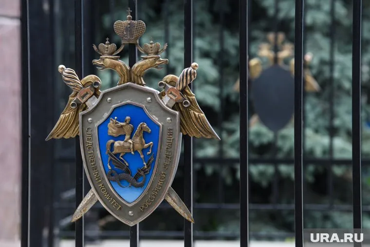В СКР завели дело