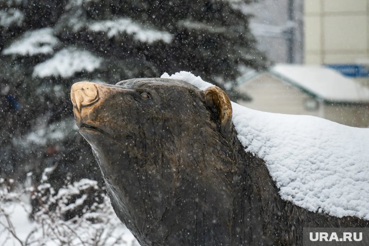 Теплый фронт принесет в Пермский край дожди и мокрый снег