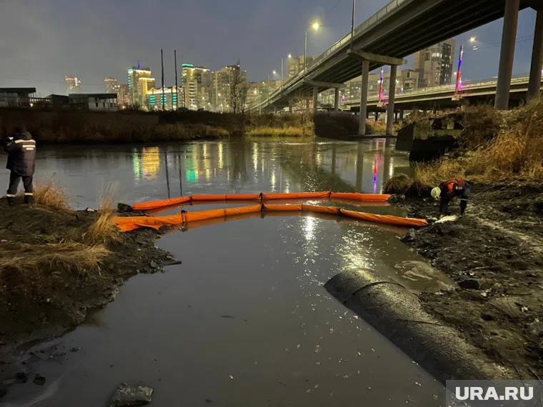 Пятна снова заметили накануне 
