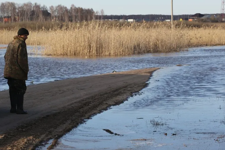 Деревня Репьева. Ишимский район