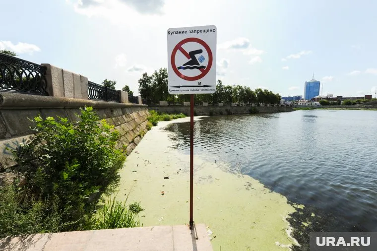 Негативный отзыв о базе отдыха студент оставил после гибели на ней своего друга