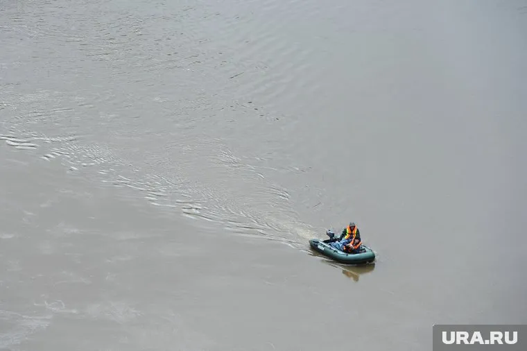 В Чесменском районе сложилась критическая ситуация