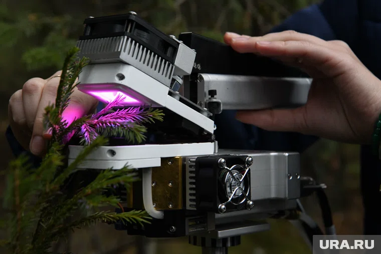 Не бойтесь слухов - правда страшнее