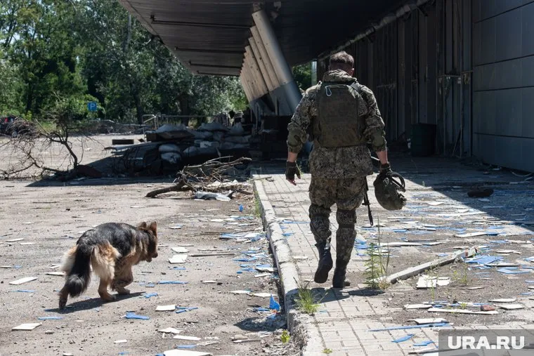 Мариани: союзники Франции мечтают затянуть конфликт на Украине