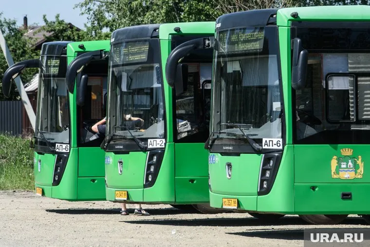 Для работы на маршруте № 123 закуплены 25 автобусов большого класса (архивное фото)