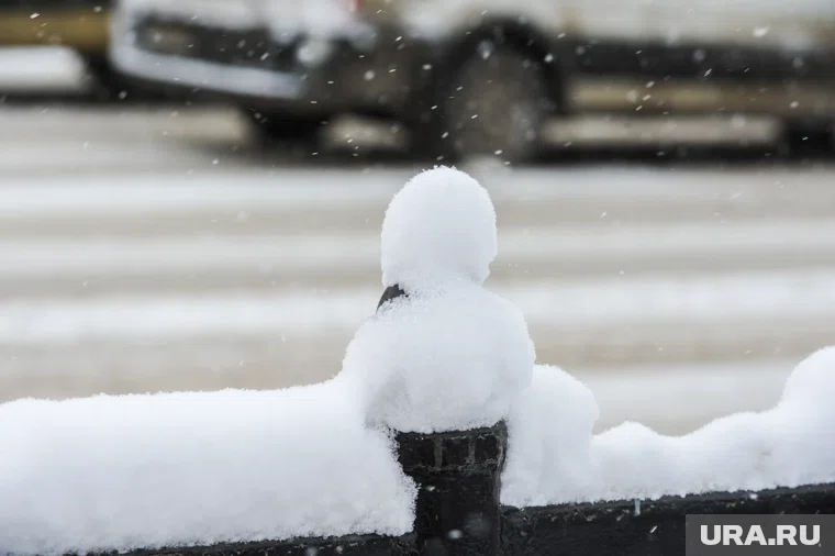 К концу января в регионе станет снова тепло и снежно