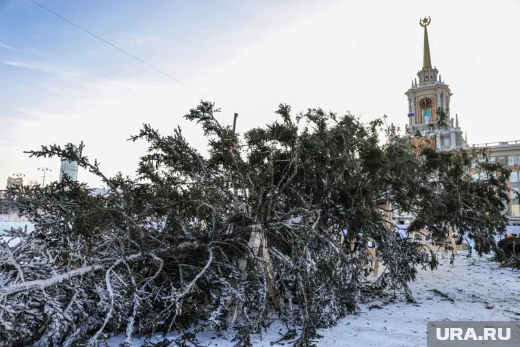 После Нового года елка станет материалом для поделок к юбилею города