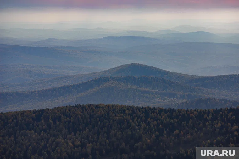 Замглавы администрации США Стивен Миллер усомнился в праве Дании на Гренландию