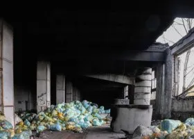 Подпольный крематорий в Кургане создан при участии судимого замгубернатора