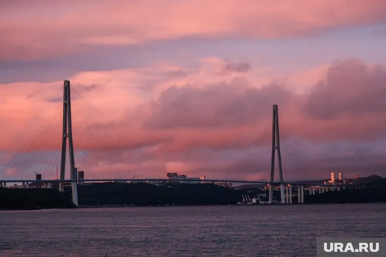 Скульптуры создавали в рамках реализации проекта «Туристский код Владивостока»