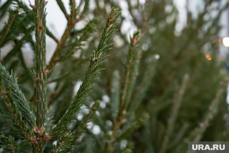 При нанесении ущерба в размере более 5 тысяч рублей нарушители могут быть привлечены уже к уголовной ответственности