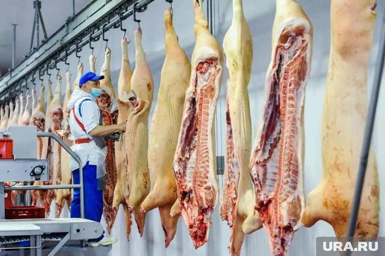 В 2022 году в Челябинской области планируется произвести почти 500 тысяч тонн мяса