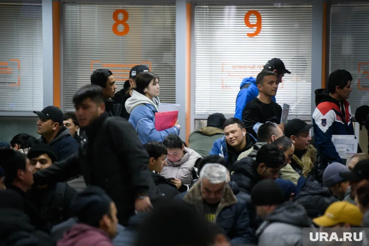 Мигранты смогут получит полис ОМС в России только спустя пять лет работы