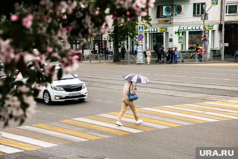 Водитель не уступил дорогу пешеходам