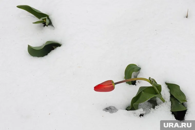 Зима не отступает в Пермском крае (архивное фото)