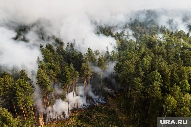 По площади пройденных огнем лесов регион на четвертом месте