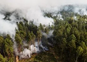 Свердловская область стала лидером в России по числу пожаров