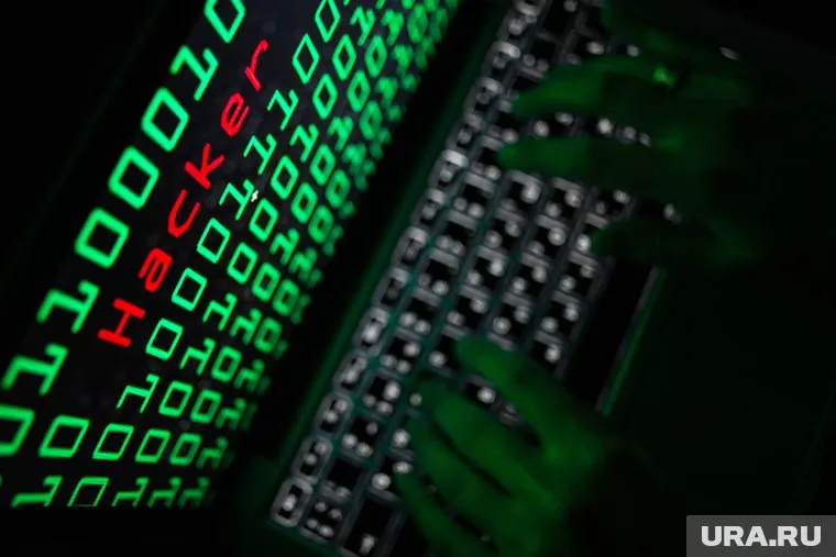 Группировка хакеров Killnet похитила данные Налоговой службы США