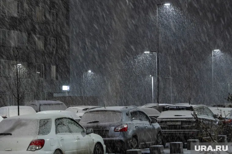 Несмотря на таяние, 3 и 4 декабря вновь ожидаются снегопады