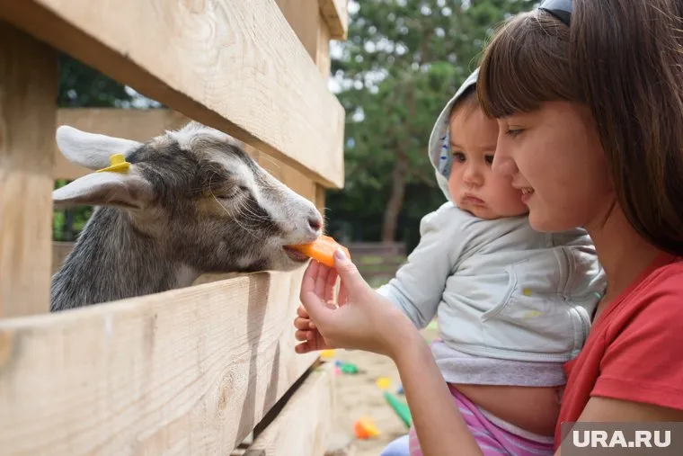 Мать ребенка обратилась в прокуратуру