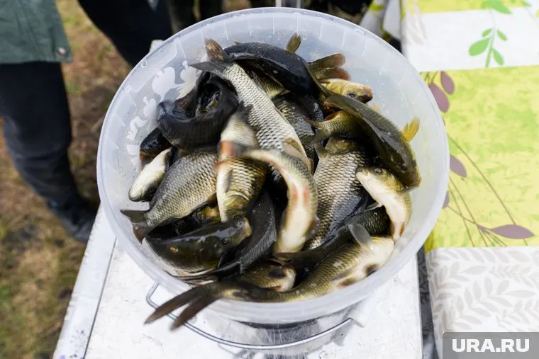 Рыбалка была удачной