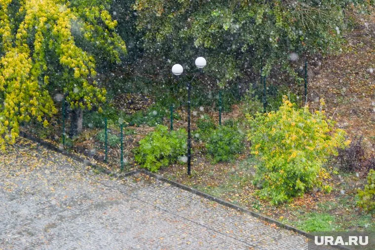 Жителей региона синоптики предупредили о сильных снегопадах в выходные дни