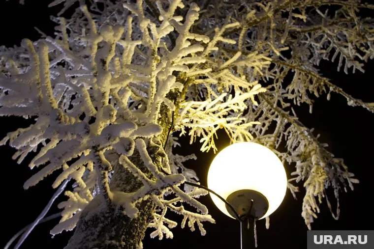 Челябинскую область ждут три морозные ночи подряд