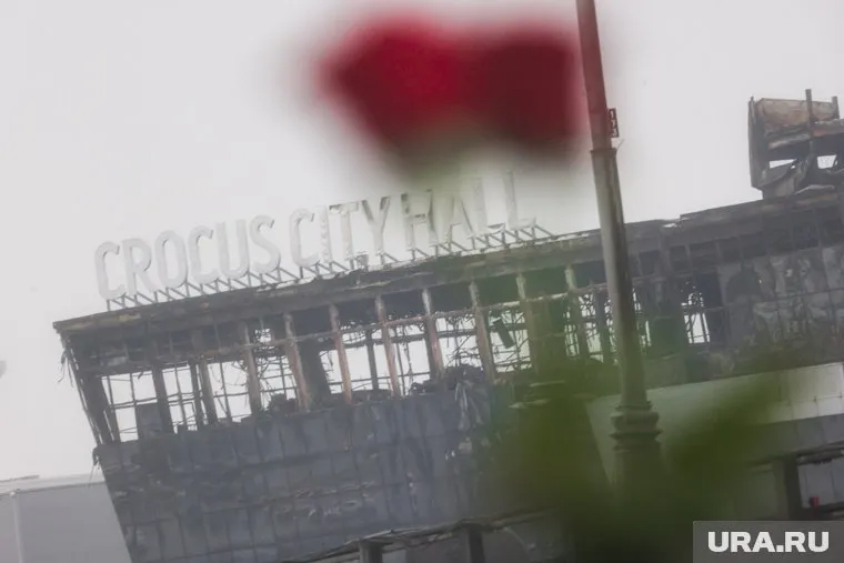 Иски после теракта в Подмосковье направили несколько десятков человек