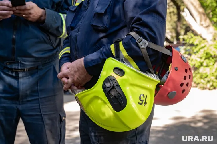 Мужчина не удержался и сорвался с дерева